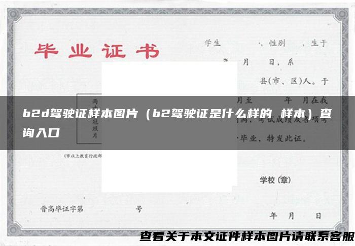 b2d駕駛證樣本圖片（b2駕駛證是什么樣的 樣本）查詢入口