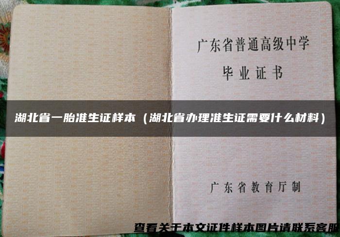 湖北省一胎準生證樣本（湖北省辦理準生證需要什么材料）