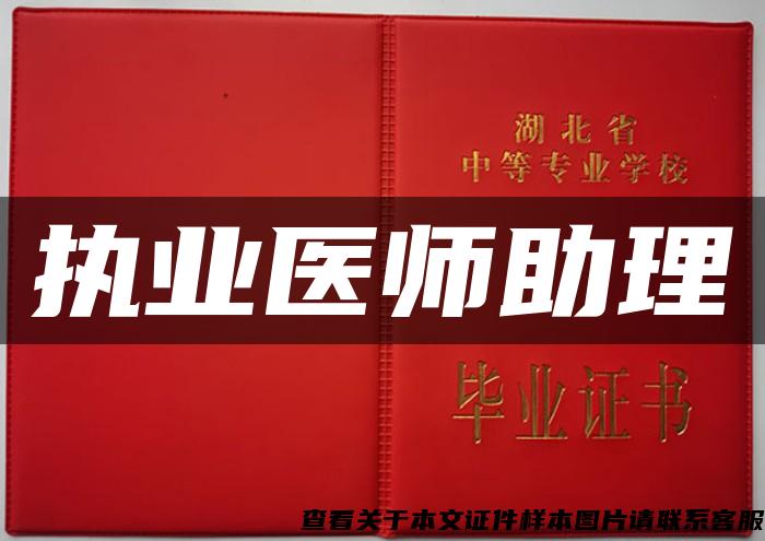 執業醫師助理