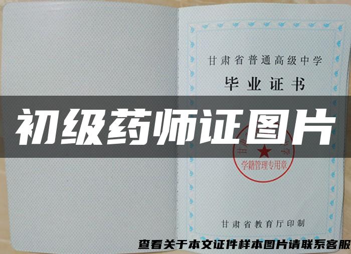 初級藥師證圖片