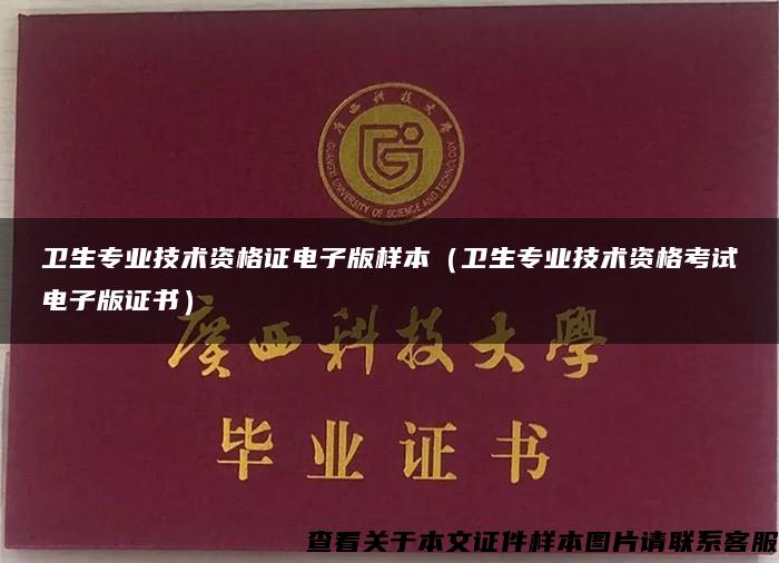 衛生專業技術資格證電子版樣本（衛生專業技術資格考試電子版證書）
