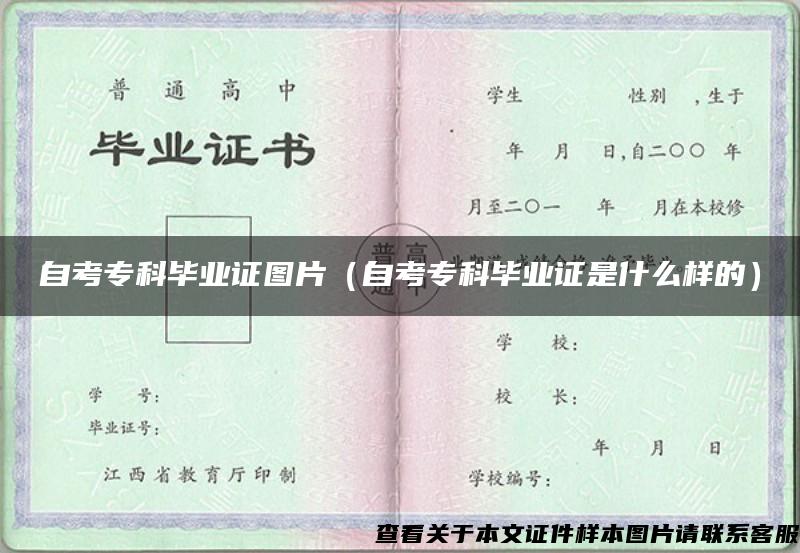 自考?？飘厴I證圖片（自考?？飘厴I證是什么樣的）