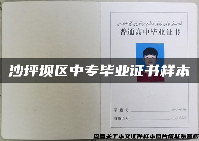 沙坪壩區中專畢業證書樣本