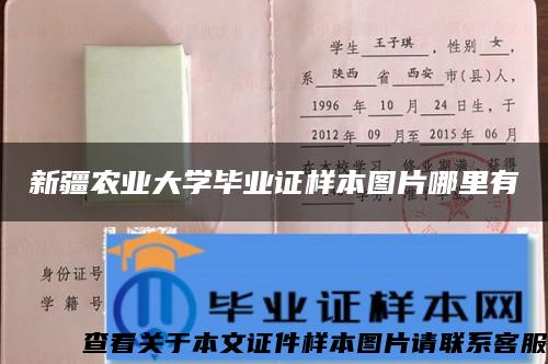 新疆農業大學畢業證樣本圖片哪里有