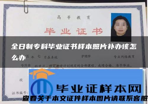 全日制?？飘厴I證書樣本照片補辦該怎么辦