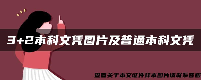 3+2本科文憑圖片及普通本科文憑