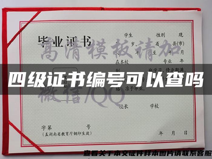 四級證書編號可以查嗎