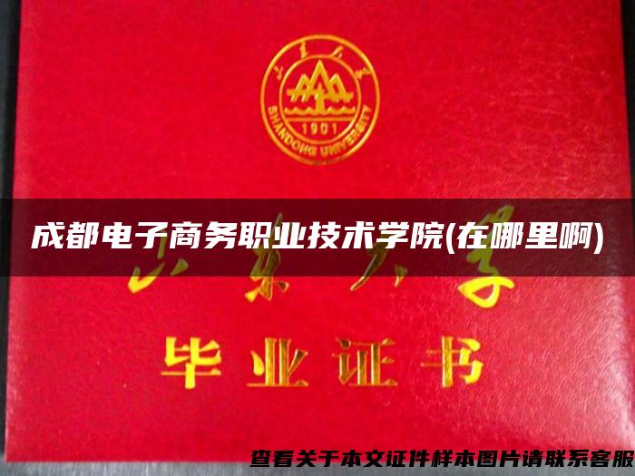 成都電子商務職業技術學院(在哪里啊)