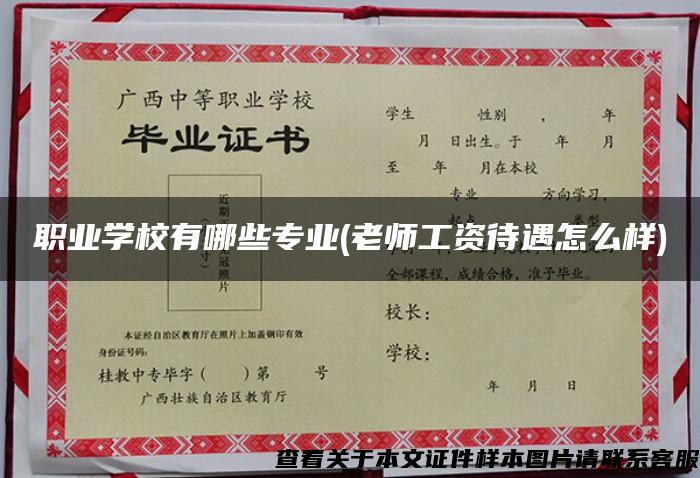 職業學校有哪些專業(老師工資待遇怎么樣)