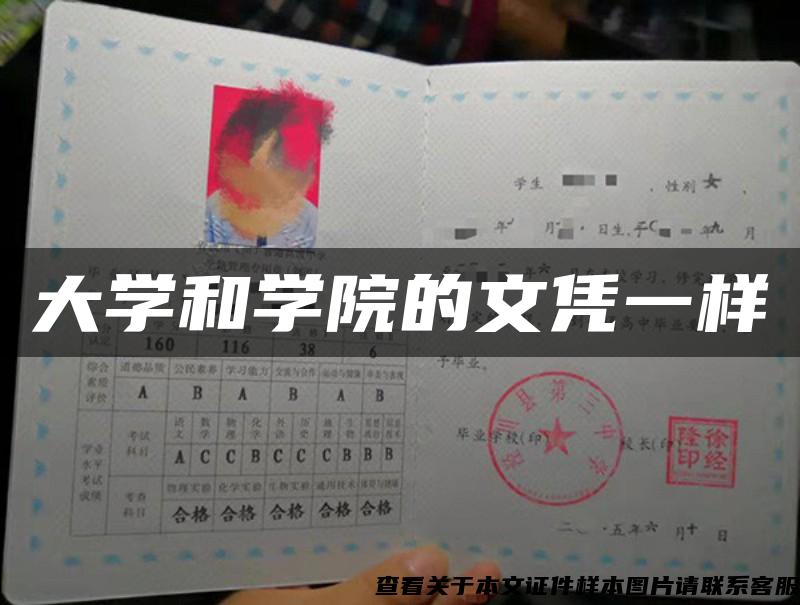 大學和學院的文憑一樣