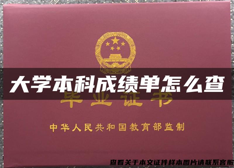 大學本科成績單怎么查