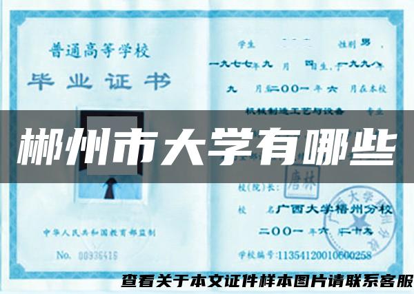郴州市大學有哪些