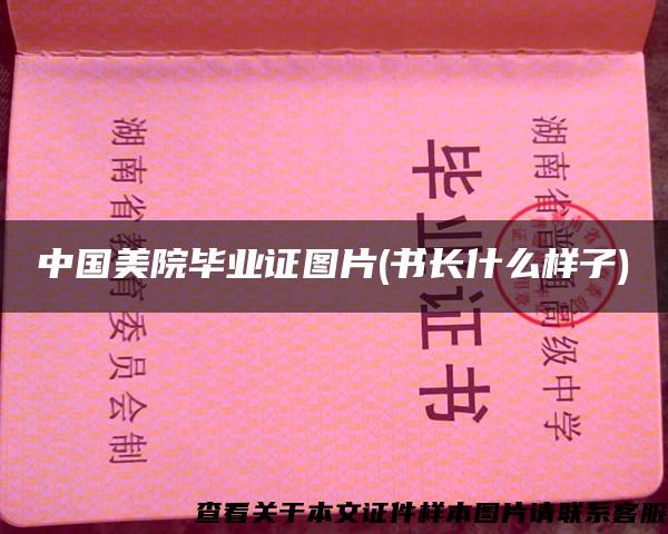 中國美院畢業證圖片(書長什么樣子)