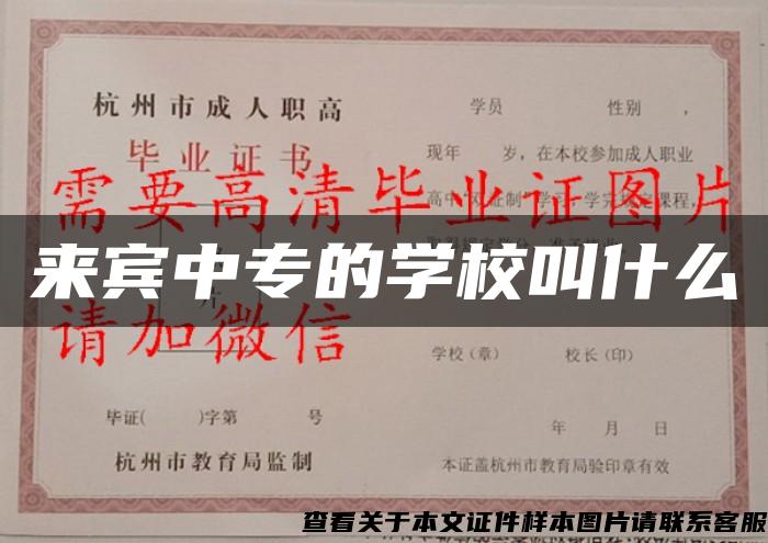來賓中專的學校叫什么