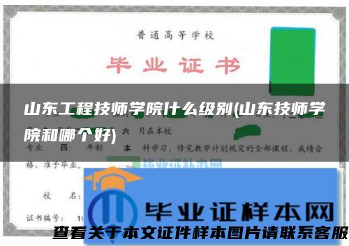 山東工程技師學院什么級別(山東技師學院和哪個好)