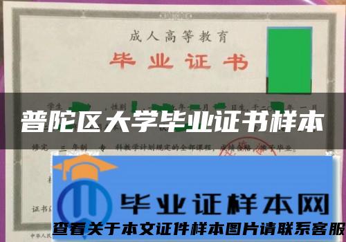 普陀區大學畢業證書樣本