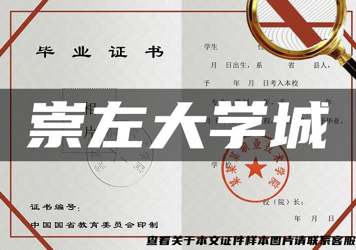 崇左大學城
