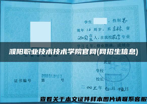 濮陽職業技術技術學院官網(網招生信息)