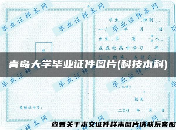 青島大學畢業證件圖片(科技本科)