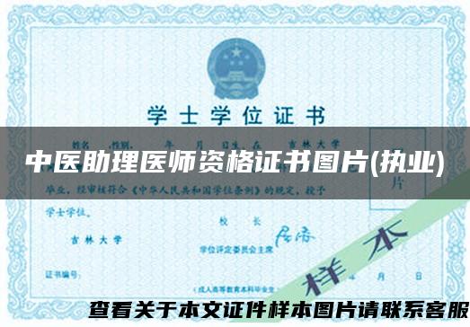 中醫助理醫師資格證書圖片(執業)