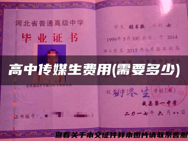 高中傳媒生費用(需要多少)