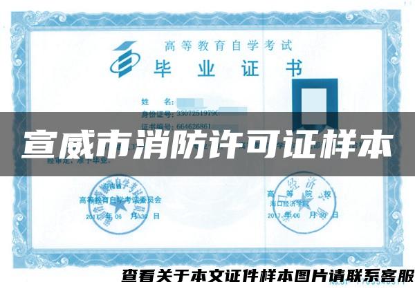 宣威市消防許可證樣本