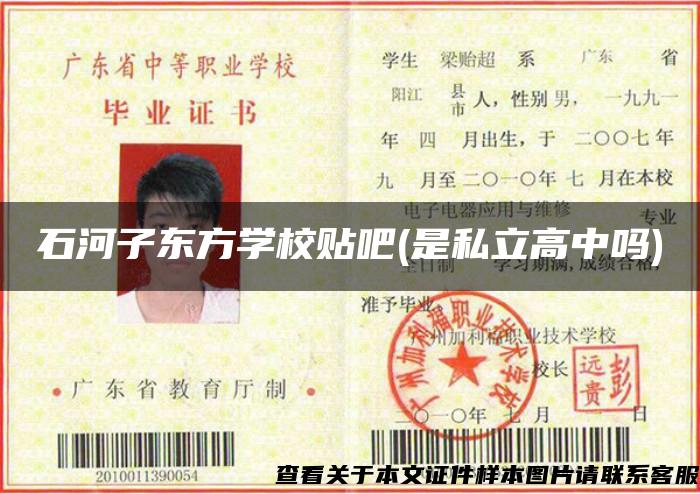 石河子東方學校貼吧(是私立高中嗎)