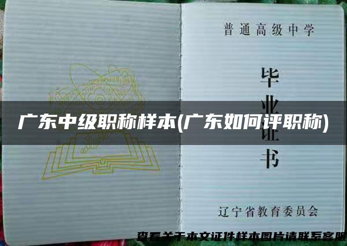 廣東中級職稱樣本(廣東如何評職稱)
