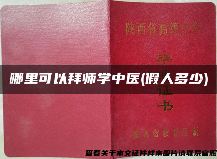 哪里可以拜師學中醫(假人多少)