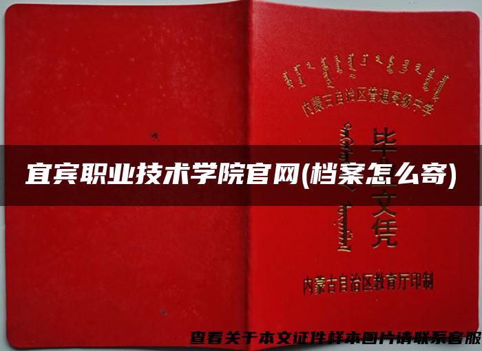 宜賓職業技術學院官網(檔案怎么寄)