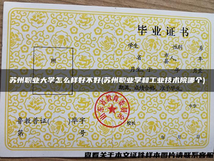 蘇州職業大學怎么樣好不好(蘇州職業學和工業技術院哪個)