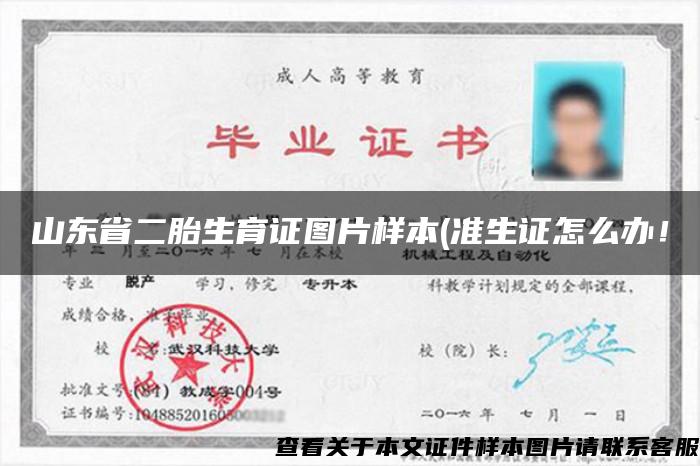 山東省二胎生育證圖片樣本(準生證怎么辦！