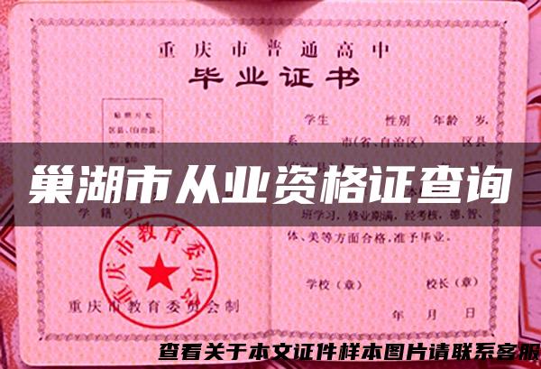 巢湖市從業資格證查詢