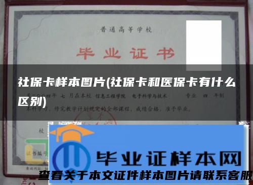 社?？颖緢D片(社?？ê歪t?？ㄓ惺裁磪^別)