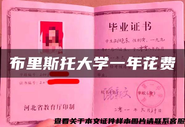 布里斯托大學一年花費