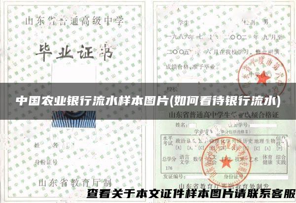 中國農業銀行流水樣本圖片(如何看待銀行流水)
