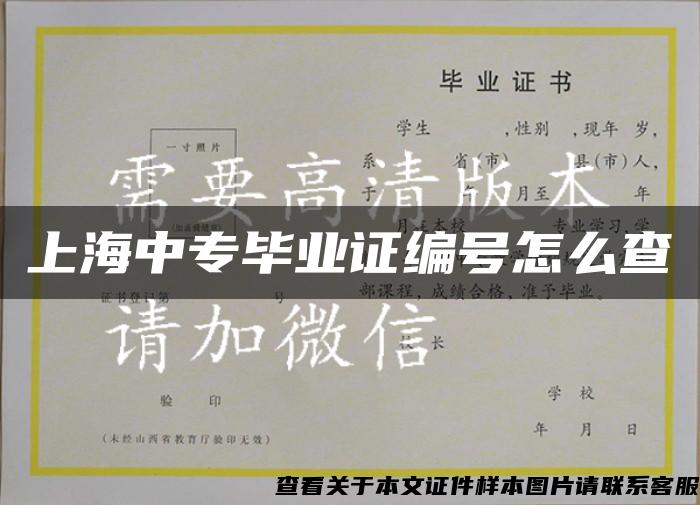 上海中專畢業證編號怎么查