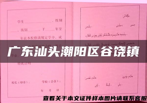 廣東汕頭潮陽區谷饒鎮
