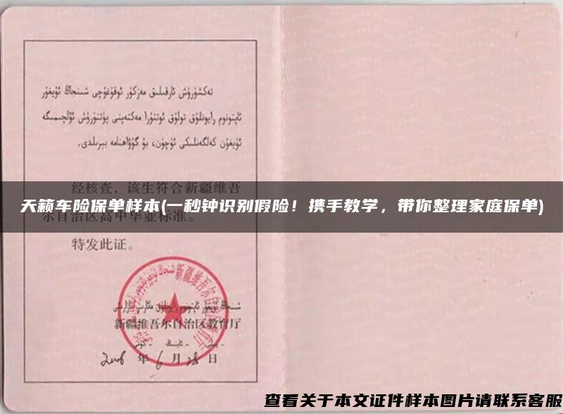 天籟車險保單樣本(一秒鐘識別假險！攜手教學，帶你整理家庭保單)