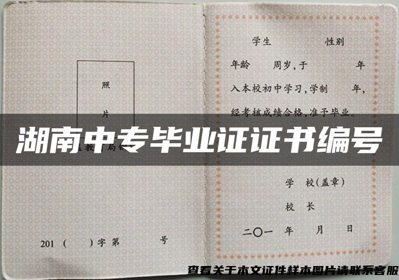 湖南中專畢業證證書編號