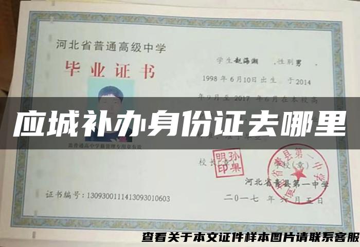 應城補辦身份證去哪里