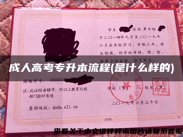 成人高考專升本流程(是什么樣的)