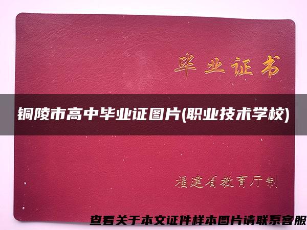 銅陵市高中畢業證圖片(職業技術學校)