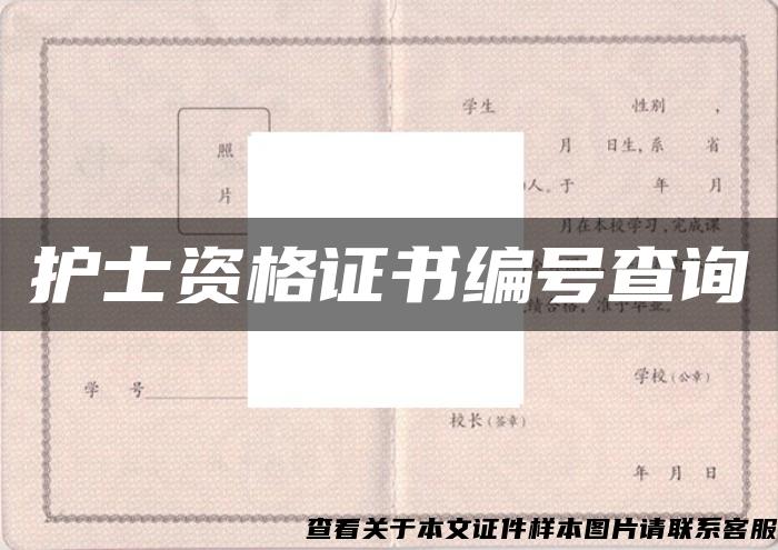護士資格證書編號查詢