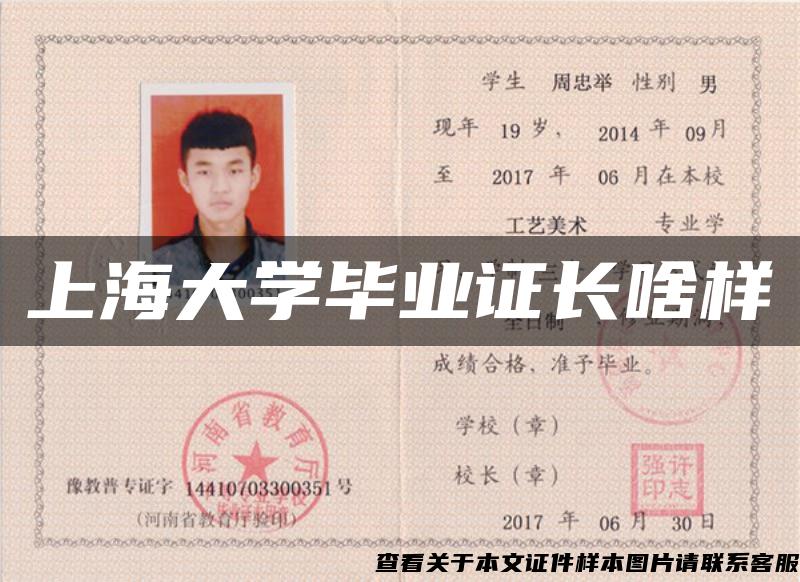 上海大學畢業證長啥樣