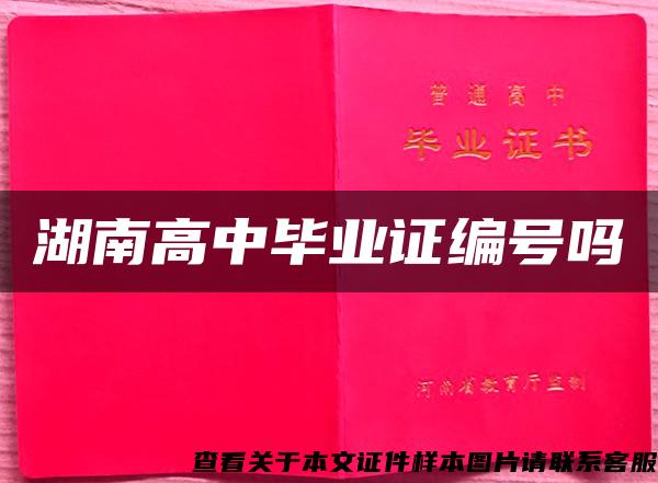 湖南高中畢業證編號嗎