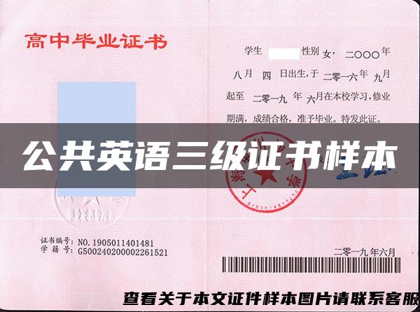 公共英語三級證書樣本