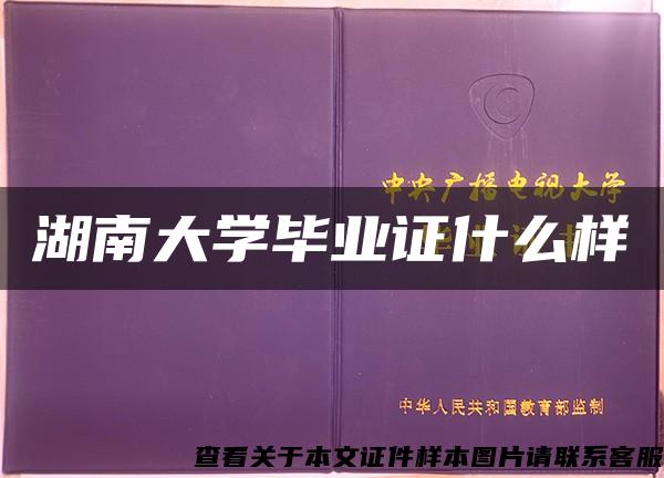湖南大學畢業證什么樣
