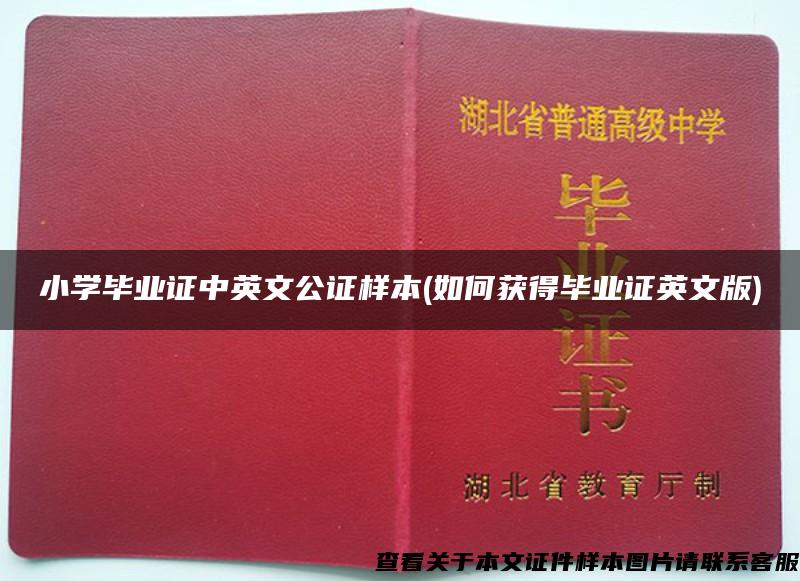 小學畢業證中英文公證樣本(如何獲得畢業證英文版)