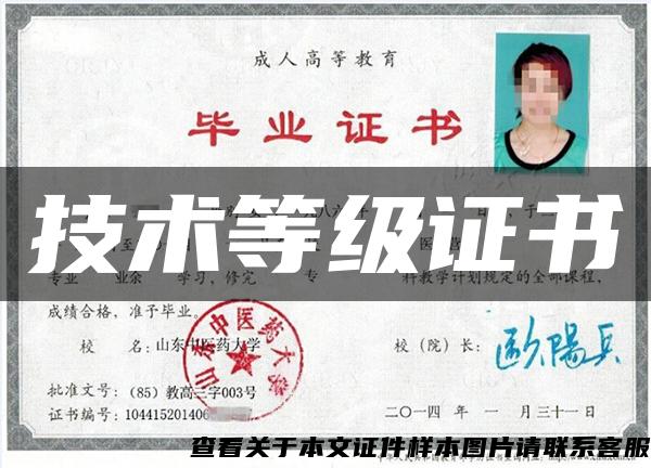 技術等級證書